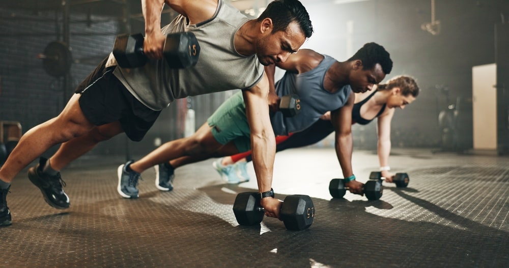 programme-musculation